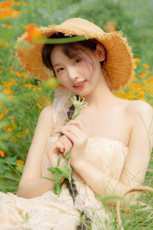 乡村大杀器